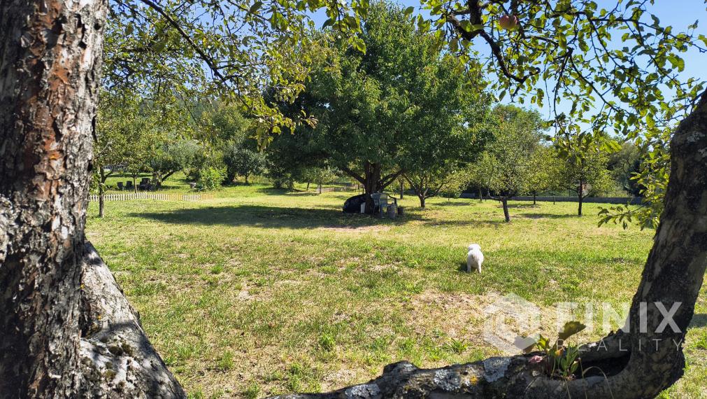 Predám pozemok v obci ČIŽATICE