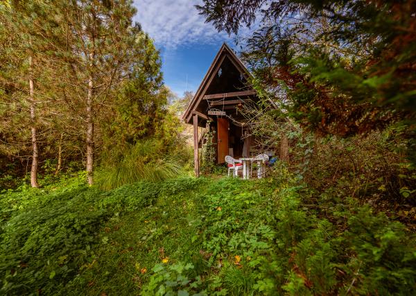 Predám chatu s priestranným pozemkom v obci Veľká Lodina